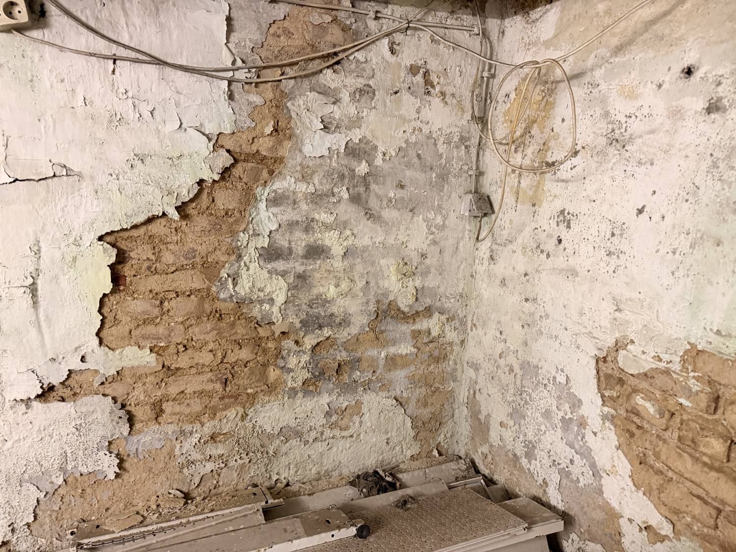 Abgeplatzter Putz an einer Kellerwand mit freiliegendem Mauerwerk